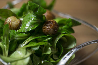 Close-up of vegetables