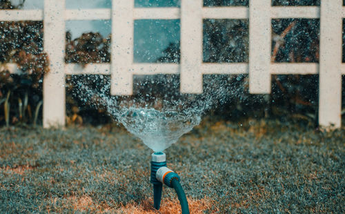 Close-up of water spraying on field