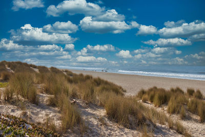 Scenic view of beach against sky