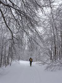 Rear view of person on snow covered land