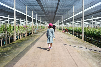 Rear view of woman walking on footpath