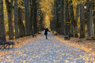 Rear view of woman standing on footpath amidst trees