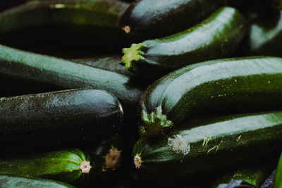 High angle view of vegetables