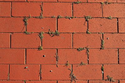 Full frame shot of brick wall