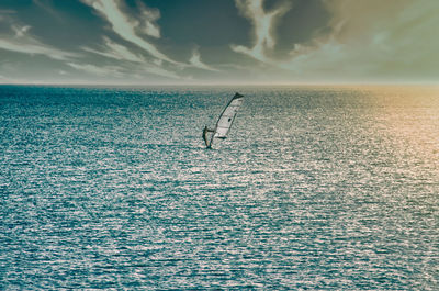 Windsurfer at sea in sunset. the black sea. view from afar. the sky is frowning.