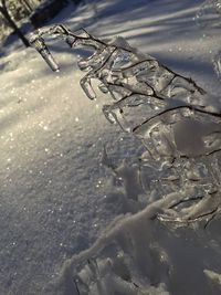 Close-up of water drops on white background