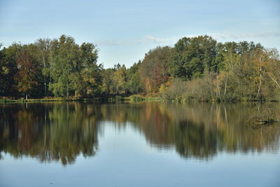 Scenic view of lake by trees against sky