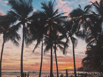 Silhouette palm trees at beach during sunset