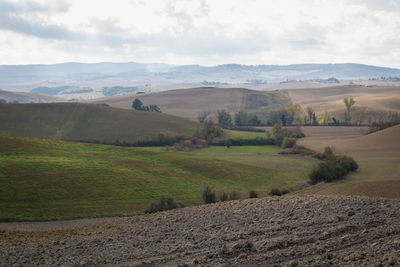 Scenic view of farm against sky