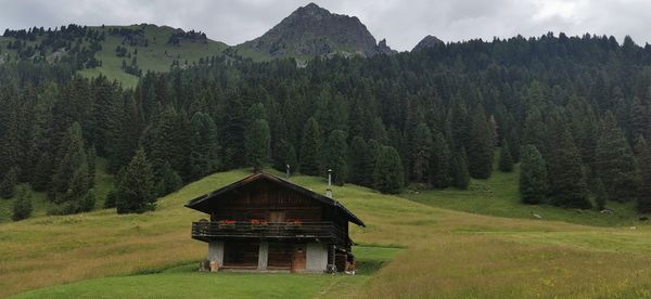 Scenic view of field
