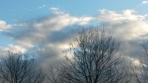 Low angle view of bare tree against sky