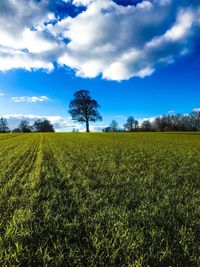 Scenic view of field against cloudy sky