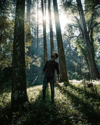Man standing by tree trunks in forest