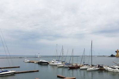 Boats in harbor