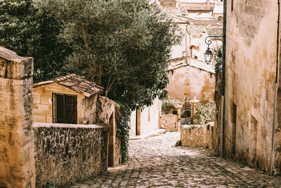 Saint emilion street