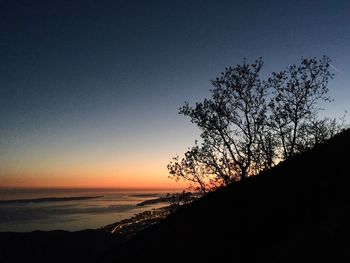 Silhouette tree by sea against sky during sunset