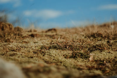 Surface level of land against sky