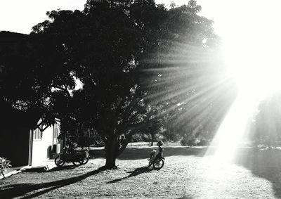 People riding bicycle on sunny day