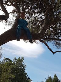 Low angle view of man sitting by tree against sky
