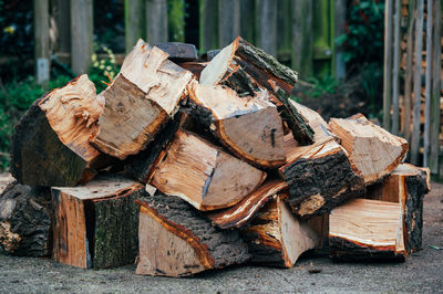 Close-up of firewood