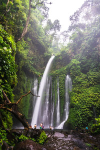 Scenic view of waterfall in forest