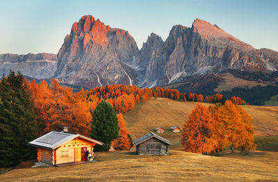 Scenic view of autumn trees on mountain against sky