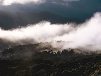 Scenic view of fog