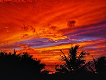 Silhouette trees against orange sky