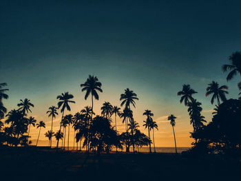 Silhouette palm trees on beach against sky during sunset