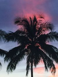 Low angle view of silhouette palm tree against sky