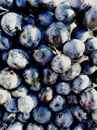 Full frame shot of pebbles