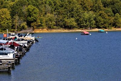 Sailboats moored on river amidst trees in forest