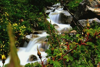 River flowing through rocks