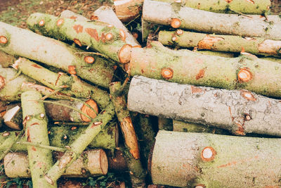 Close-up of rusty metal