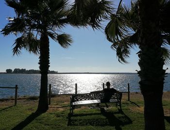 Scenic view of palm trees by sea against sky