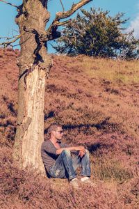 Man sitting by tree trunk on sunny day