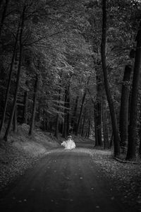 Road amidst trees against sky