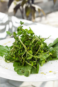 Close-up of leaves in plate on table