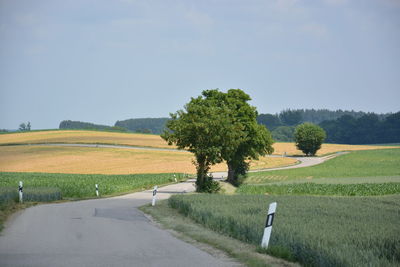 Road amidst trees on field against sky