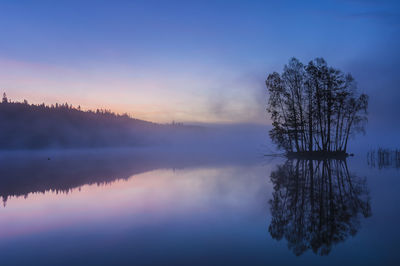 Trees on island on still and misty lake