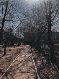 Empty footpath amidst bare trees in park