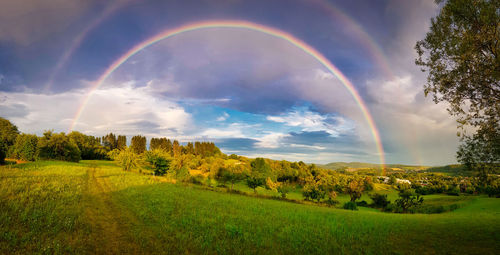 Panoramic view of rainbow over land and trees against sky