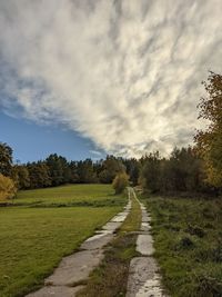 Empty road along trees on field against sky