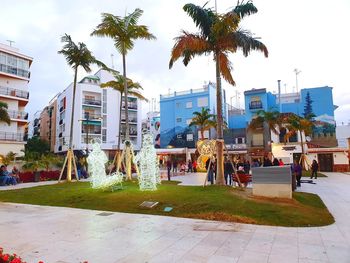 Palm trees by swimming pool against buildings in city