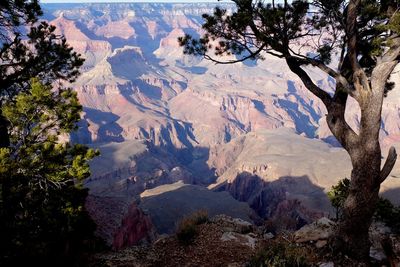 High angle view of trees and mountains against sky