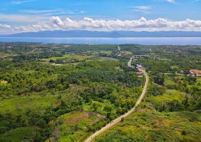 High angle view of trees on landscape against sky