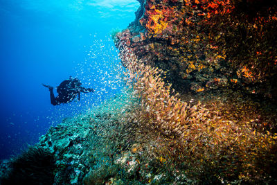 Person swimming in sea