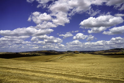 Scenic view of agricultural field against sky