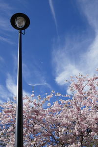 Low angle view of blue sky and clouds