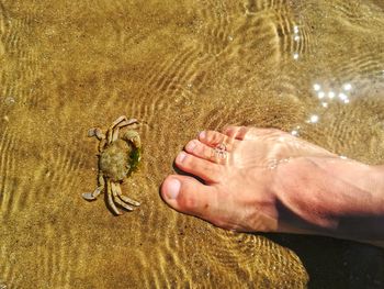 Close-up of hands on sand at beach